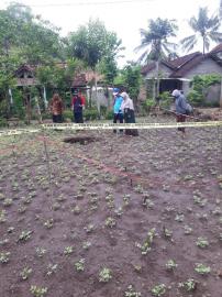 SINKHOLE MUNCUL DIDUSUN KANDRI DESA PUCUNG